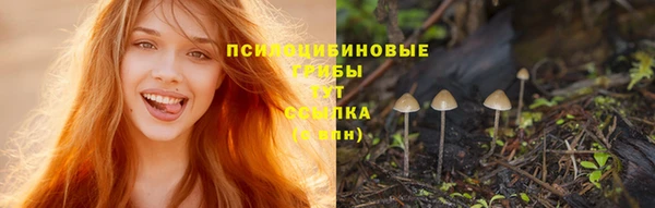 амф Алексеевка