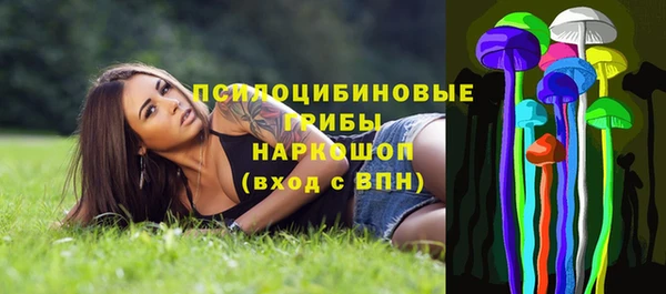 амф Алексеевка